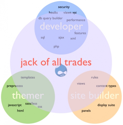 Different Types of Drupal Web Developer Job